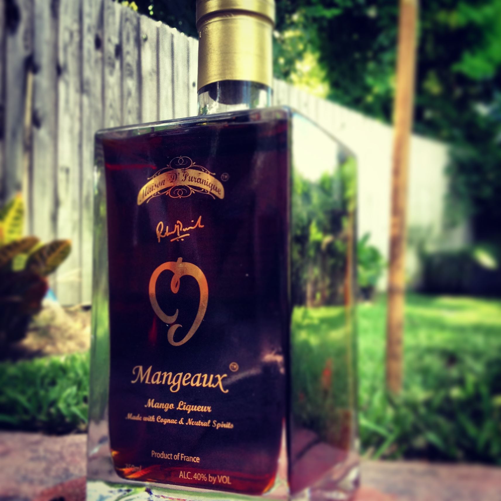 Mangeaux Premium Cognac